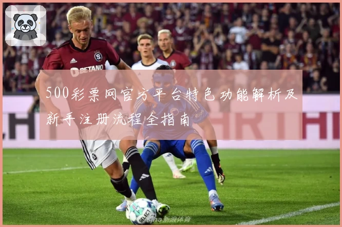 500彩票网官方平台特色功能解析及新手注册流程全指南